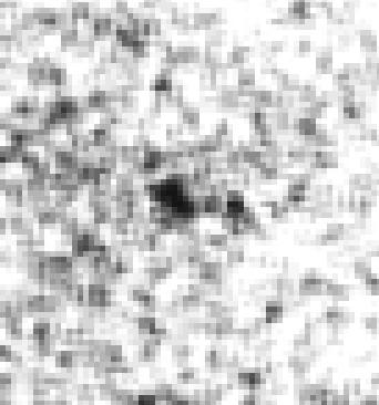 5 mag are included in the density map (Fig. 6). NGC 1894 is more pronounced and has an elliptical shape. No significant enhancement between the clusters can be seen.