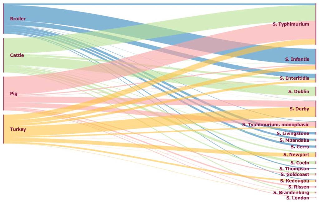 SALMONELLA SEROVARS IN FOOD AND ANIMALS, EU, 2015 Sankey diagram of the 17 most reported