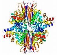 - With the information given by a protein crystal, drugs can be designed to target a particular site of a protein - This technique is not limited to the size of the molecule, unlike NMR -