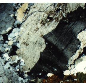 10 Fig. 7. Felsic diorite, showing deformed (bent) Carlsbad- and albite-twinned plagioclase crystal (light and dark gray).