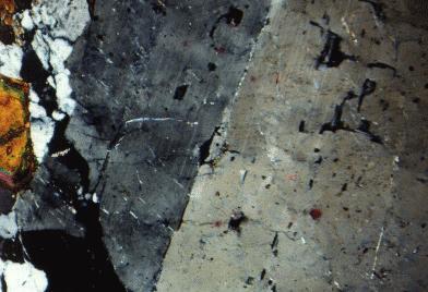 11 Fig. 8. Felsic diorite shows slightly deformed (fractured) Carlsbad- and albitetwinned plagioclase crystal (cream gray and gray) that fills most of image.
