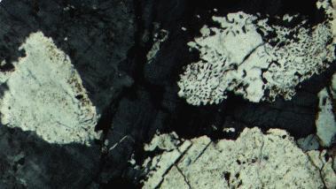 13 Fig. 10. Cataclastically-broken felsic diorite, in transitional rock between unaltered, undeformed, felsic diorite (Fig. 4) and megacrystal quartz monzonite (like that shown in Figs. 3 and 4).