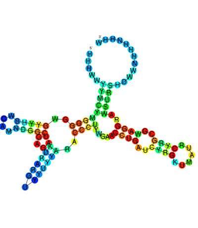10 Uvod (a) FMN (b) TPP (c) SAM (d) Purine (e) Lysine Slika 1.