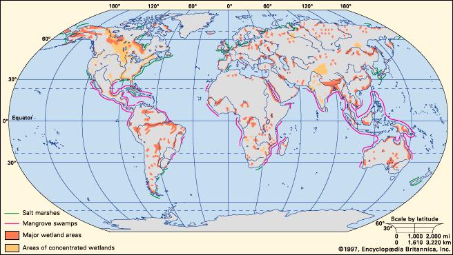 The global distribution