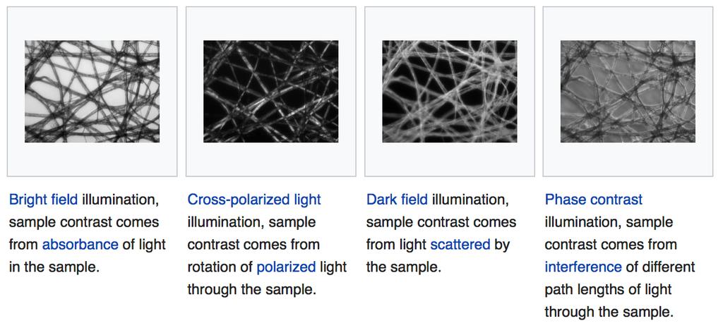 Light Microscopes (from