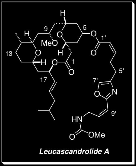 Introduction Carbonyl