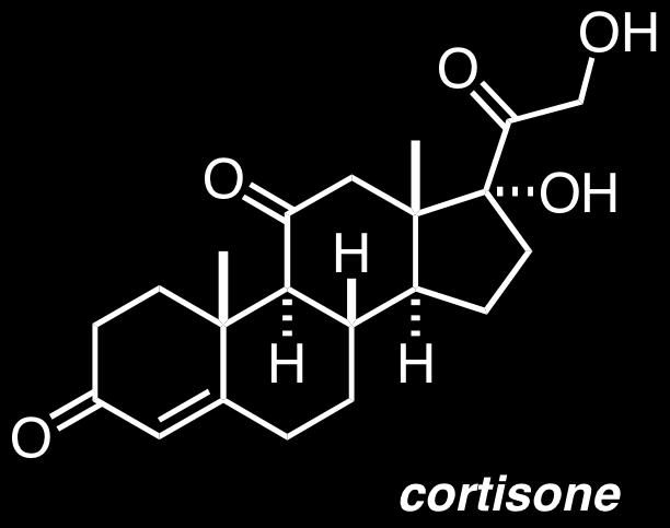 P. Wipf - Chem 2320 9 3/20/2006 Woodward s synthesis of cortisone (Woodward, R. B. et al. J. Am. Chem. Soc.