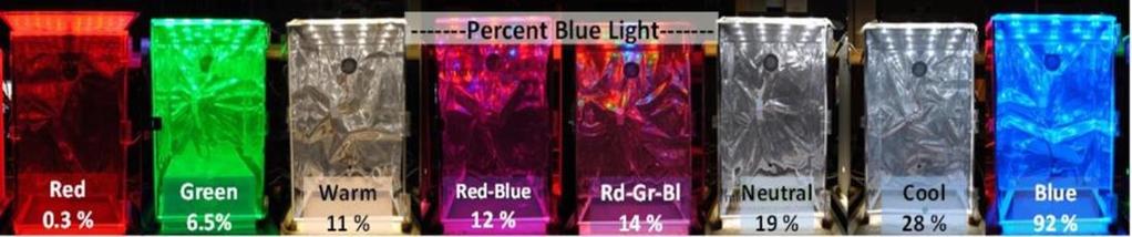 13 PPF 5 2 Fig. 1. The eight LED spectra and corresponding percent BL for each treatment.