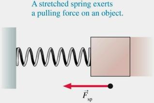 contact forces. A spring can either push (when compressed) or pull (when stretched).