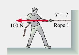Two students pulls on opposite ends of a rope with forces of