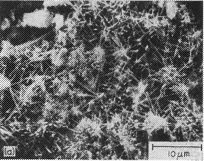 Figure 2.15 Scanning Electron Micrograph of the Fracture Surface of Portland cement after 24 Hours Hydration [31]. Figure 2.