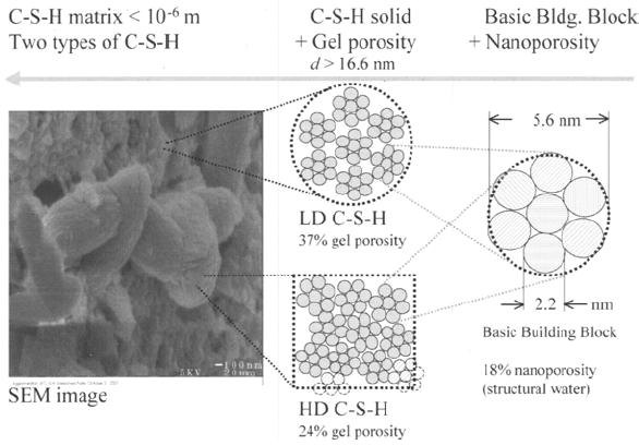 The colloidal structure of C-S-H is shown in Figure 2.18. The basic building blocks flock together to form a cluster of globules and these globules form the C-S-H gel.