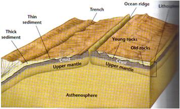 Ocean Rocks and Sediments A.
