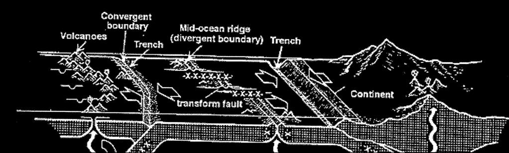 Sometimes forms deep-sea trenches http://www.coolgeography.co.uk/gcse/aqa/restless%20earth/tectonics http://skyblue.utb.