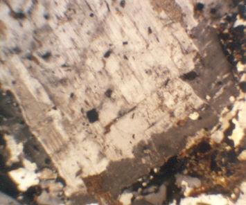 10 Fig. 7. Overgrowth of secondary K-feldspar (dark gray) on end and sides of albitetwinned plagioclase crystal (light gray).