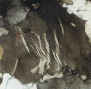 13 Fig. 10. String perthite formed by exsolution processes in microgranite. Graphic texture in pegmatites is typical of magmatic intergrowths.