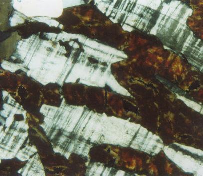 17 Fig. 14. Photomicrograph of intergrowth of tourmaline (brown) in microcline (grid-twinned) in pegmatite. This intergrowth may have resulted from metasomatic processes. Re