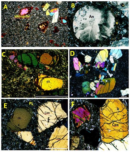 following average mineralogical compositions, these are; olivine (40%), clinopyroxene (35%), Plagioclase (15%), Fe-Ti oxides (8%) and opaque minerals (2%).