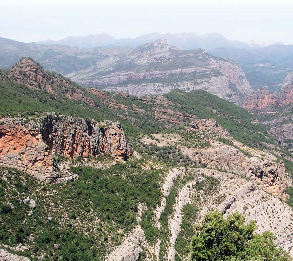 collision of the Iberian and European plates and the uplift of the Pyrenees, and a study of these structures can shed much light on the performance of shelf carbonate reservoirs in many areas