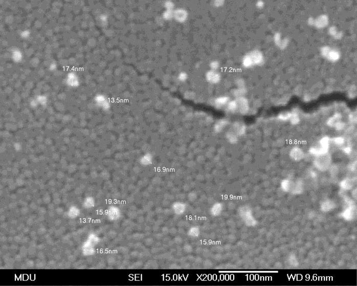Fig. 4. Scanning electron micrographs of silver nanoparticle Table. 1. Sample compositions. Samples No.