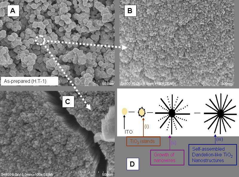 Preparation and Characterization of Nanostructured TiO 2 Thin Films by Hydrothermal and Anodization Methods http://dx.doi.org/10.5772/51254 117 Figure 1.