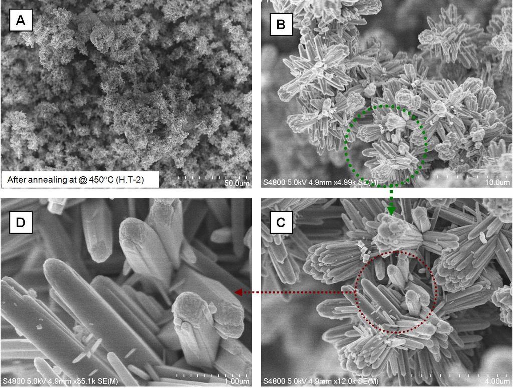 Preparation and Characterization of Nanostructured TiO 2 Thin Films by Hydrothermal and Anodization Methods http://dx.doi.org/10.