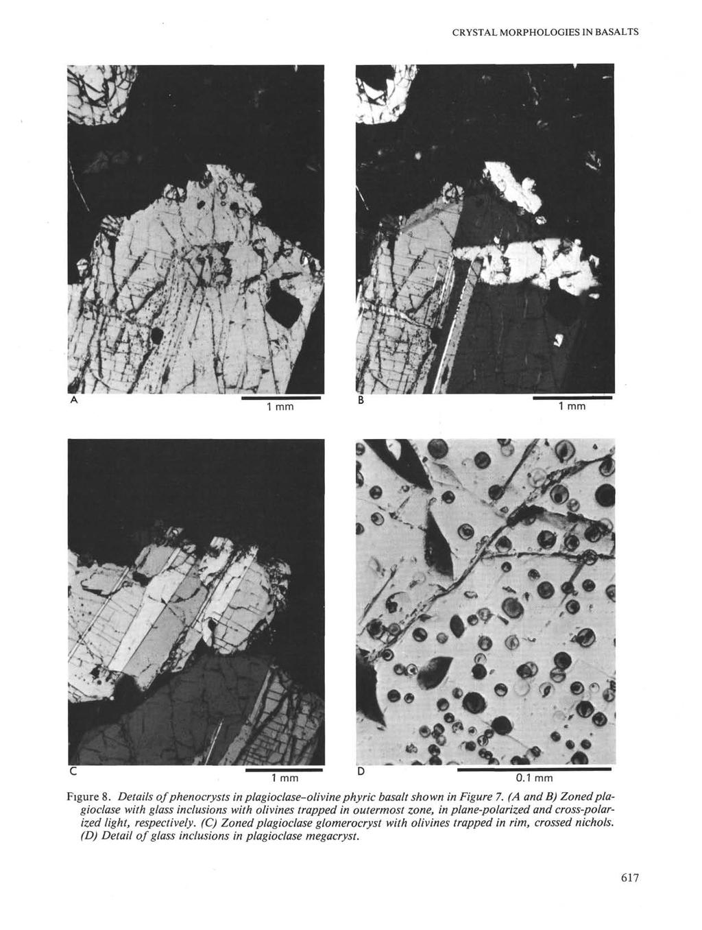 CRYSTAL MORPHOLOGIES IN BASALTS. r Vj ; 1 mm 1 mm 1 mm 0.1 mm Figure 8. Details of phenocrysts in plagioclase-olivine phyric basalt shown in Figure 7.