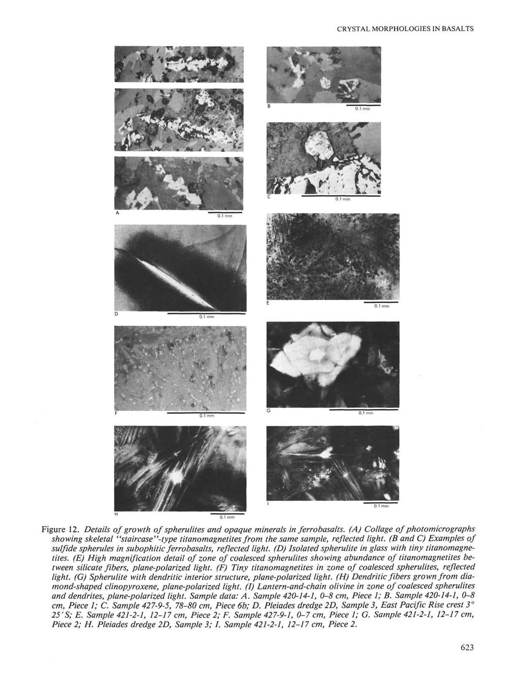 CRYSTAL MORPHOLOGIES IN BASALTS Figure 12. Details of growth of spherulites and opaque minerals in ferrobasalts.