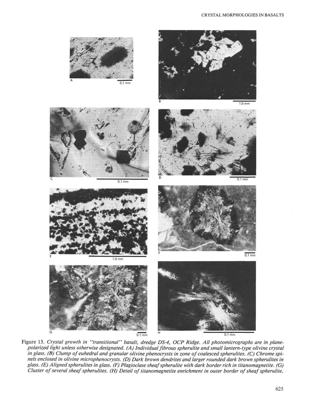 CRYSTAL MORPHOLOGIES IN BASALTS Figure 13. Crystal growth in "transitional" basalt, dredge DS-4, OCP Ridge. All photomicrographs are in planepolarized light unless otherwise designated.
