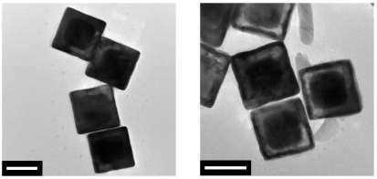 Inset images show representative nanostructures. Scale bars in (a) and (b) are 00 nm and 1 μm, respectively.
