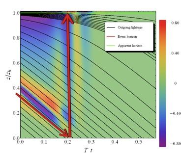 A typical holographic thermalization process Theory: