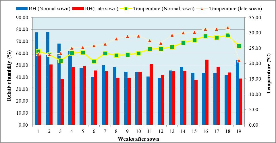 Fig 1: Standard meteorological week s data during the crop growth period (summer 2014-2015). Results and Discussion Among normal and late sown condition, significantly higher photosynthetic rate (24.