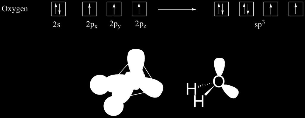 html Other bonding interactions hydrogen bonding -Average electron density around O in H 2 O is 10x greater than around H -Exposes the naked protons of H -> molecule