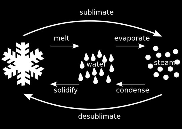 (dissolved) 1. Phase change H 2 O(s) H 2 O(l) H 2 O(g) drives the hydrologic cycle.