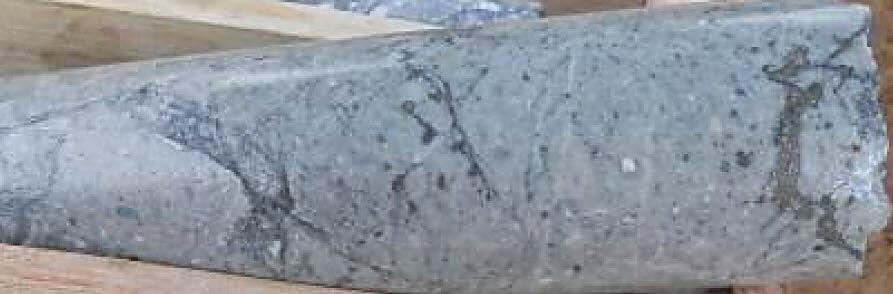 (C) Sheared granodiorite with sulphide,