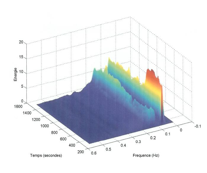 Examples Sea-waves spectrum Locally in time and frequency the spectrum of waves is registered.