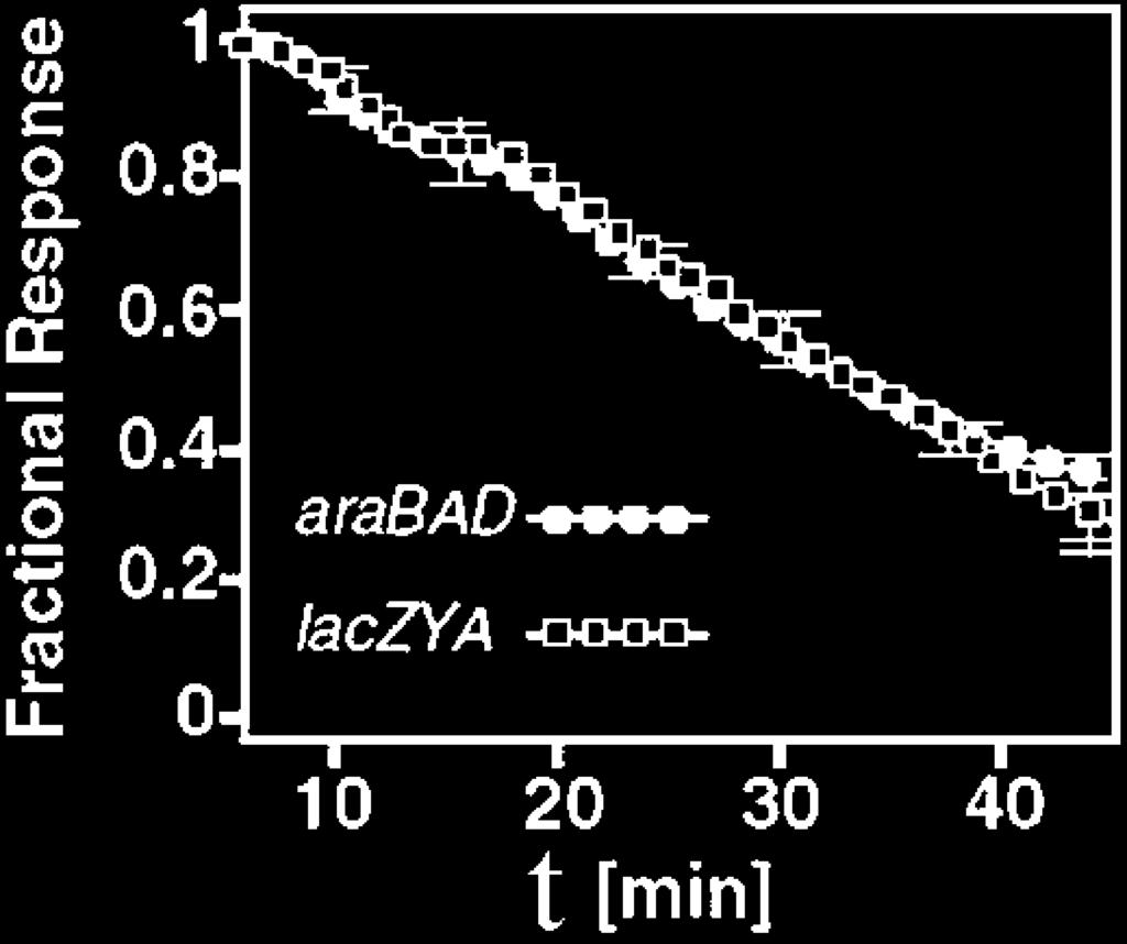 200 Coherent FFL as Sign-Sensitive Delay Figure 3. GFP/A, normalized by its maximal level, of arabad and laczya reporters growing on glycerol minimal medium, following a camp OFF step (0.