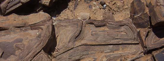 Tibooburra concretions Page 2 Concentric Ironstone Concretions These