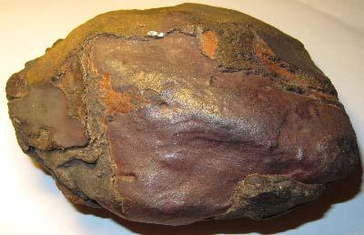 Rattle rock concretion approximately 20 cm long.