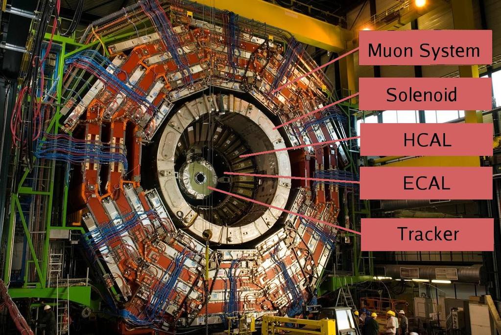 The Compact Muon