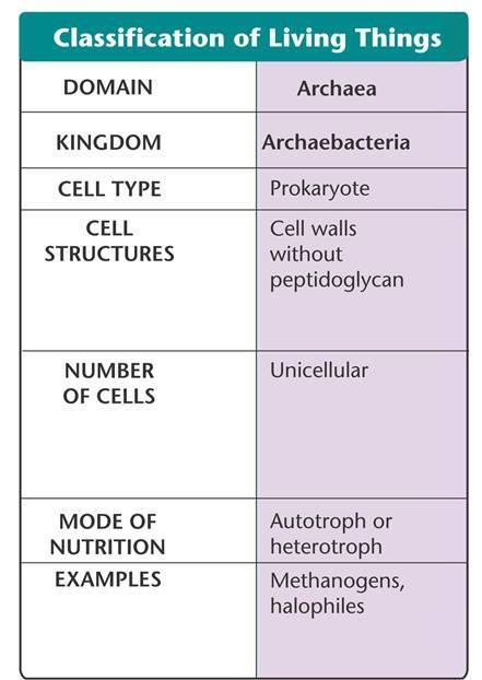 The domain Archaea