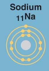 AP Biology Reading Guide Fred and Theresa Holtzclaw Chapter 2: The Chemical Context of Life 11. What determines the chemical behavior of an atom? 12.