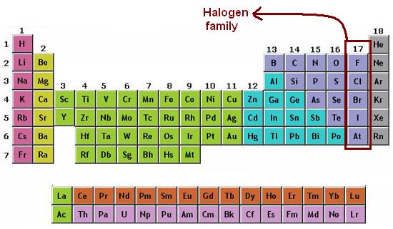 Group 17 is commonly called the halogen group / family.