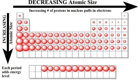 Trends of the Periodic Table: Atomic Size We measure the size of an atom by the size of its electron cloud.