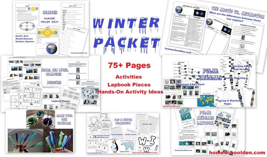 Winter Packet: Earth s Axis/Seasons, The Arctic