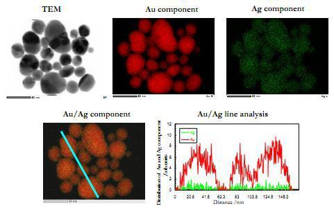 4 mm are favorable for the preparation of Au rich Au/Ag alloy particles with initial shapes just like Ag templates. Fig. 4: Typical TEM and TEM-EDS images data obtained after heating for 60 min.