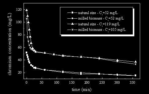 Biosorption of chromium(iii) by Sargassum sp. biomass Figure 3. Effect of biosorbent size on chromium biosorption by Sargassum sp.