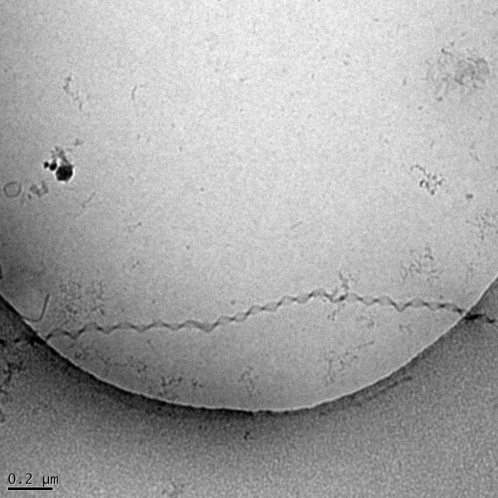 SI Fig.4. Example cryo-tem image (for a 0.