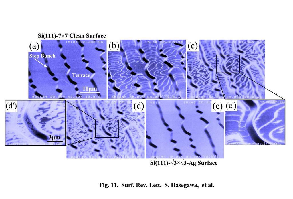 Electrical Conduction Through Surface Superstructures 977 Fig. 11. Series of in-situ glancing-incidence UHV-SEM images during Ag deposition on a step-bunched Si(111)-(7 7) clean surface kept at 450 C.