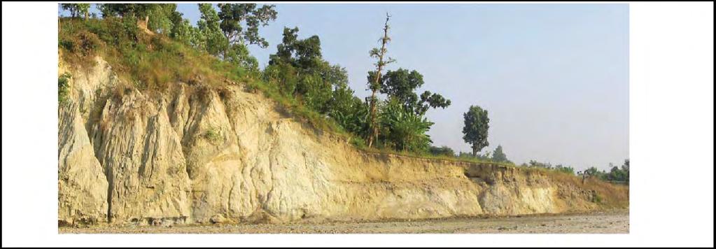 Frontal scarp of MFT and surface breaks of the 1934 Bihar